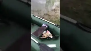 Отдых это класс! Otdykh eto klass!