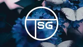 INSIDIA - Butterfly