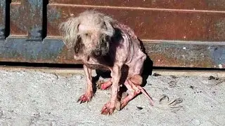 He was NEVER loved! He came for help, and people chased him away!