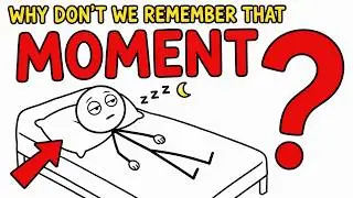 Why Don't We Remember The Moment We Fall Asleep?