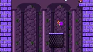 SMBX Level- Desolate Place of Birdo's Love