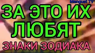 ЗНАКИ ЗОДИАКА. ЗА ЧТО ИХ ЛЮБЯТ