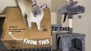 ASMR🐱Building my Kitten A Cat Tree for his birthday (soft spoken-ish)