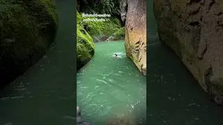 Paisajes escondidos en el medio de la Selva 🍃 