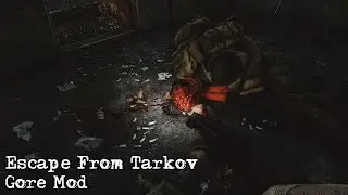 SP Tarkov - Visceral Dismemberment Mod