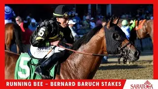 Running Bee - 2024 - Bernard Baruch