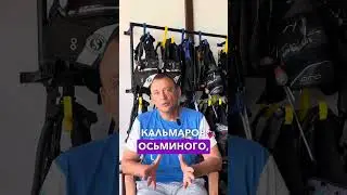 Подводный мир Шри-Ланки