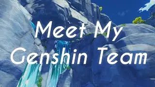Meet My Genshin Team