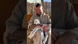 Goats with their caretaker