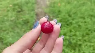 Рум тур по даче