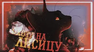 Коты Воители - Охота на лисицу [Клип]