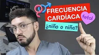 Frecuencia cardíaca y SEXO del bebé - ¿MITO O REALIDAD?
