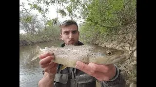 Truite au leurre : fin avril, ça s'active !