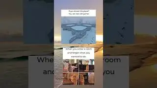 #funnymemes #memeoftheday #memesdaily #memes #shorts