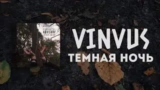 ТЕМНАЯ НОЧЬ - VINVUS акустическая версия 💔 DARK IS THE NIGHT - VINVUS acoustic version (Mood Video)