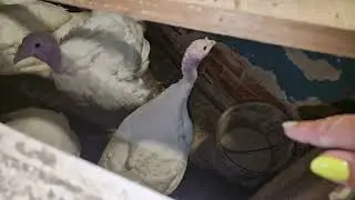 целый день с вами
