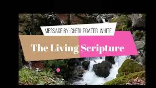 You Are A Living Scripture