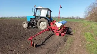 начали сеять кукурузу, 09.04.2024