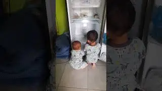 Kakak adek mainan kulkas, biar dingin yaa 😅 #shorts