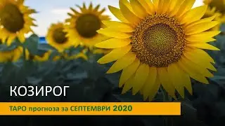 КОЗИРОГ Таро прогноза за Септември 2020