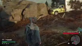 Days Gone