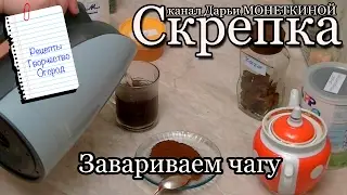 Как заваривать и пить чагу (березовый гриб)