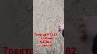 11 сентября 2023 г.