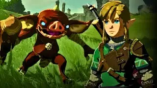 Breath of the Wild DLC Combat Never Ends.