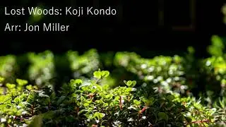 Ocarina Chronicles 5 - Lost Woods Lofi