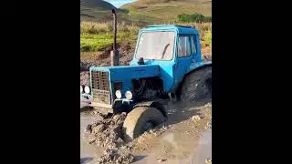 Трактор Беларусь мтз 82 Застрял в Болоте