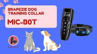 Ultra Fast Review Brapezie Dog Training Collar with Remote 2000ft