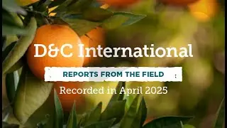 D&C International 