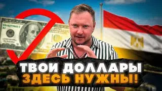 💵 Какие ДОЛЛАРЫ НЕ ПРИНИМАЮТ в Египте? Что делать, чтобы не потерять деньги!