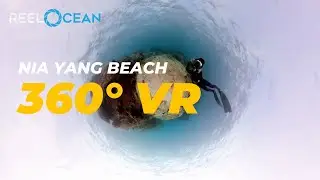 Nai Yang Beach: 360° VR Meditation in Phuket's Coastal Oasis 🌴🌊