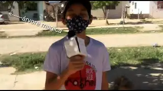 Reportagem Árvore Mágica