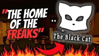 The Black Cat Experience...