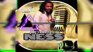 Apache Ness mix_-_@DjAndyMixx  (ness y los sensacionales)