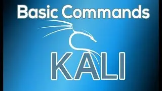 Basic Linux Commands
