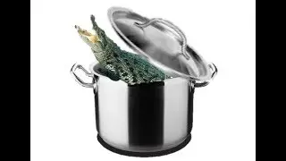 How to Make Crocodile Stew