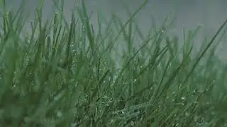 Relaxing music เสียงฝนตกทำให้นอนหลับสบาย