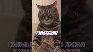 Пиши слово 