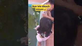 gimana caranya ikan minum di dalam kolam ⁉️ #shorts #short #viral #shortvideo