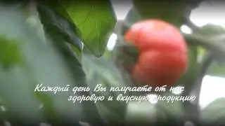 Сахалин, Совхоз 