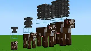 which cow will survive?