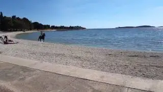 Just horsing around