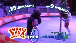 Цирк Нижний Тагил