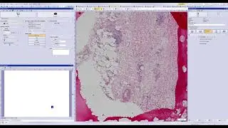 Performance comparison (Olympus) - 9/10 #olympus #microscope #fluorescence