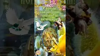 7 апреля С Наступающим Благовещением Пресвятой Богородицы🕊️🌿