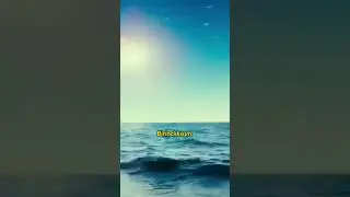 1 dakikada DİNOZORLARIN YOK OLMA SÜRECİ 