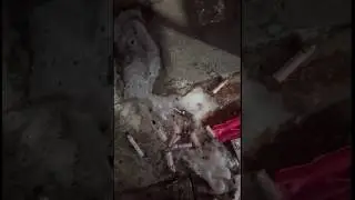 2 Korean girl smoking spitting puddle 42
